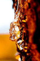 Glistening Sap