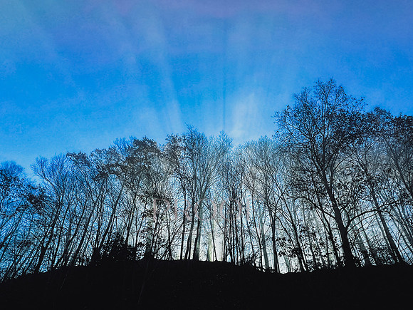 Sun Burst Up