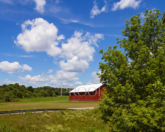 Beatty Mills Barn