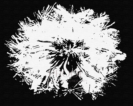 Abstract Dandi