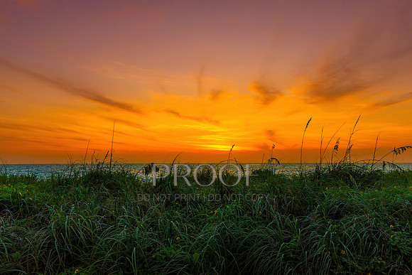 Captiva Nightfall