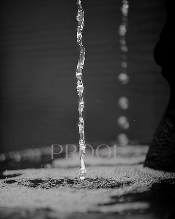 Liquid Light