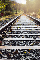 Sunny Track