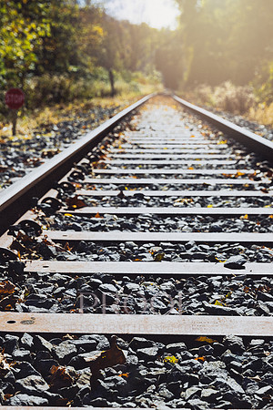 Sunny Track