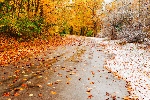 Autumn Winter Road