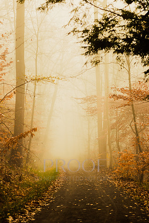 Buttermilk Mist