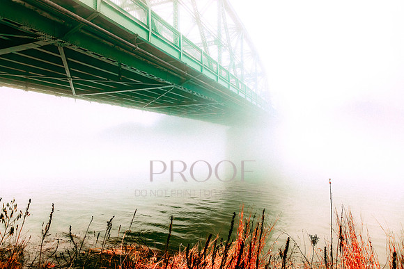 Intensely Fogged