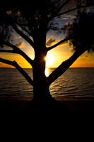 Sanibel Break
