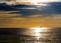 Sanibel Sail