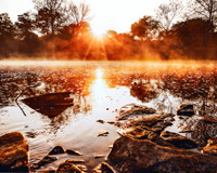 Nature & Landscape