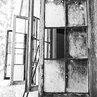 Camp Windows