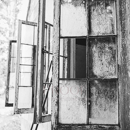 Camp Windows