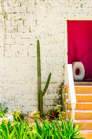 Cactus and Door