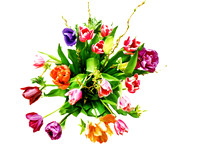Bouquet Tulips