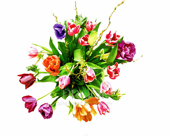 Bouquet Tulips
