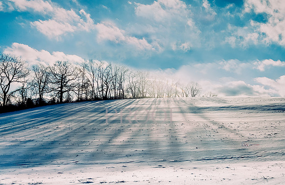 Winter Wible