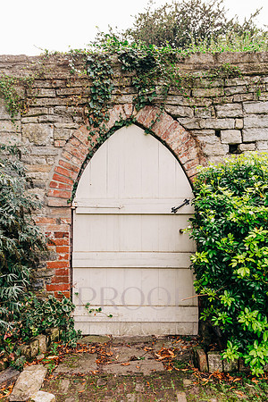 Backyard Door