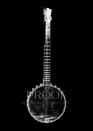 Vintage Banjo