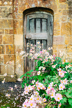 Where Flowers Gather