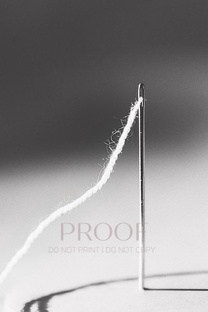 Threaded Needle