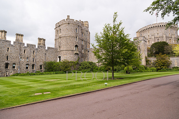 Windsor Stretch