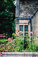 Stone & Petals