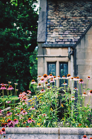 Stone & Petals